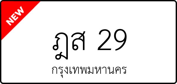 ฎส 29